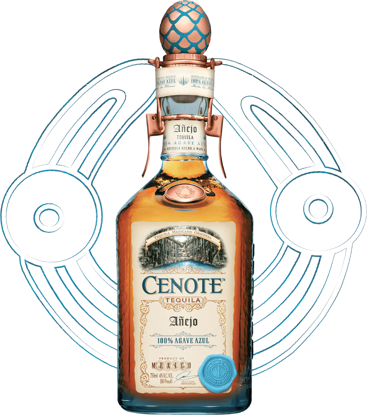 CENOTE ANEJO